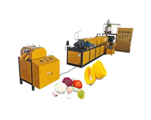 Pe foam net machine 