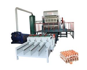 ZMG Egg tray machine